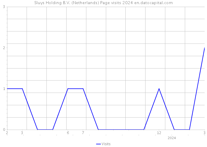 Sluys Holding B.V. (Netherlands) Page visits 2024 