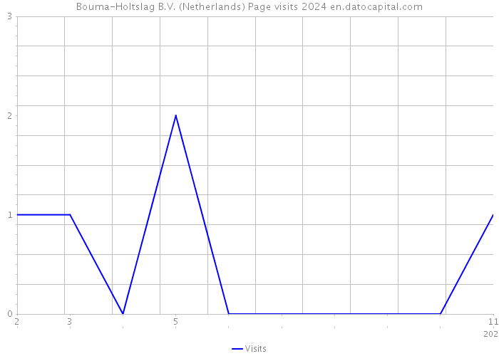 Bouma-Holtslag B.V. (Netherlands) Page visits 2024 