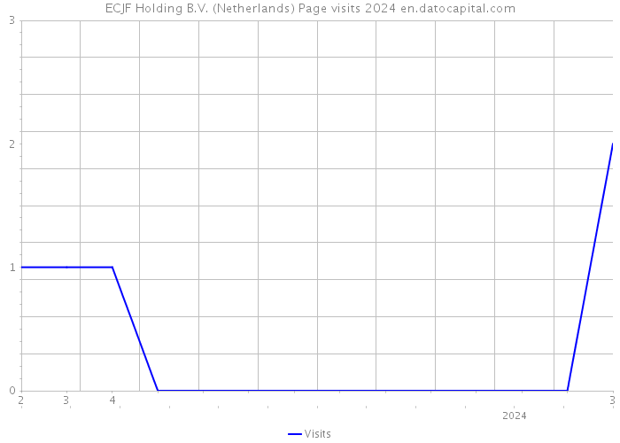 ECJF Holding B.V. (Netherlands) Page visits 2024 