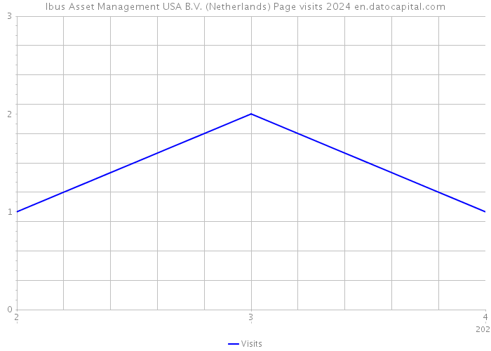 Ibus Asset Management USA B.V. (Netherlands) Page visits 2024 