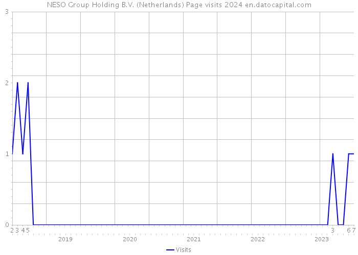 NESO Group Holding B.V. (Netherlands) Page visits 2024 