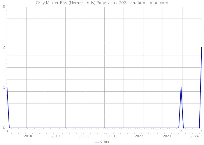 Gray Matter B.V. (Netherlands) Page visits 2024 