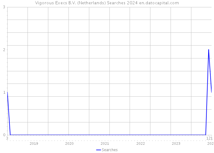 Vigorous Execs B.V. (Netherlands) Searches 2024 
