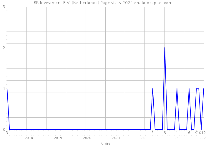 BR Investment B.V. (Netherlands) Page visits 2024 
