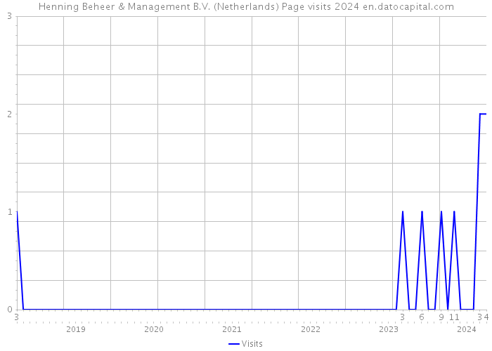 Henning Beheer & Management B.V. (Netherlands) Page visits 2024 