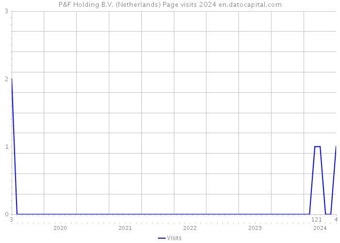 P&F Holding B.V. (Netherlands) Page visits 2024 