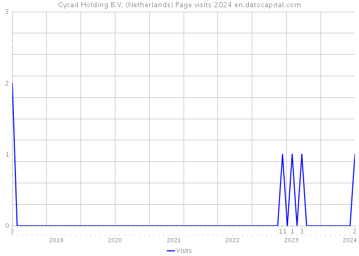 Cycad Holding B.V. (Netherlands) Page visits 2024 