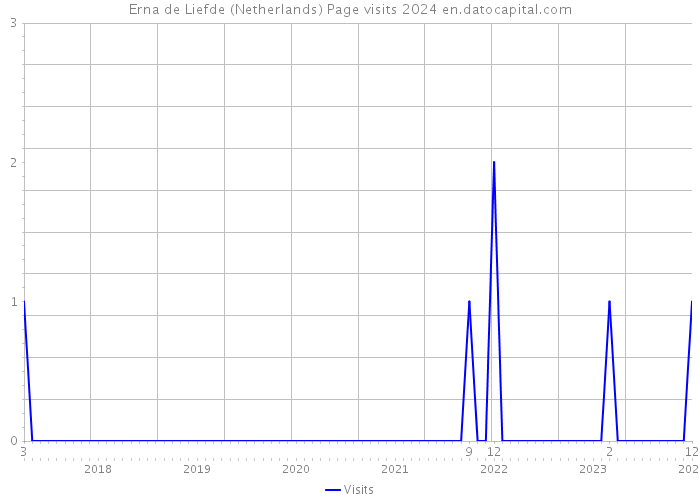 Erna de Liefde (Netherlands) Page visits 2024 