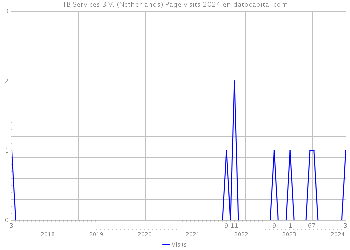 TB Services B.V. (Netherlands) Page visits 2024 