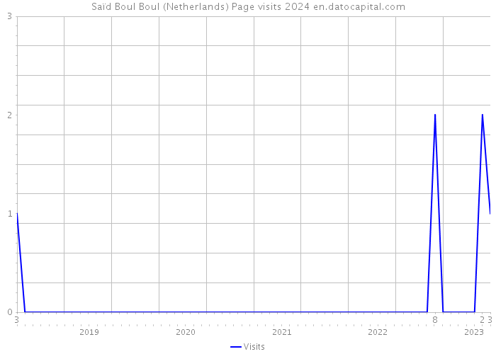 Saïd Boul Boul (Netherlands) Page visits 2024 