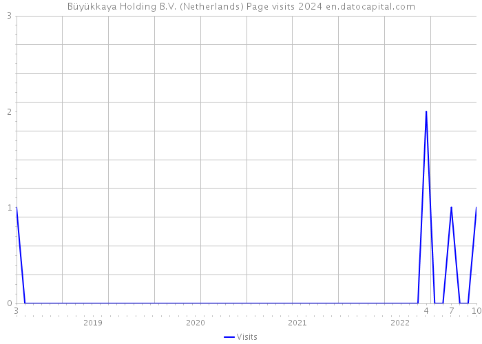Büyükkaya Holding B.V. (Netherlands) Page visits 2024 