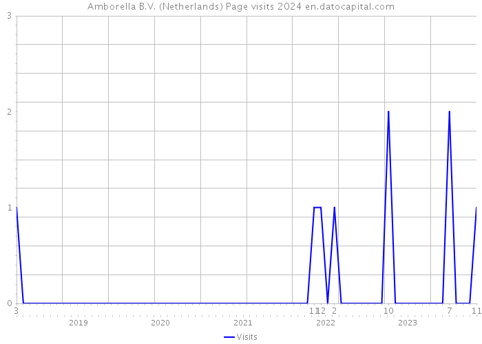 Amborella B.V. (Netherlands) Page visits 2024 