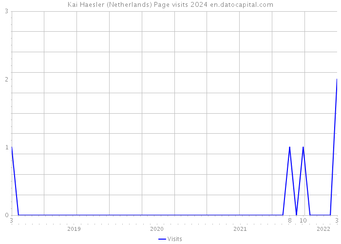 Kai Haesler (Netherlands) Page visits 2024 