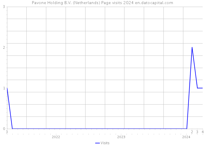 Pavone Holding B.V. (Netherlands) Page visits 2024 