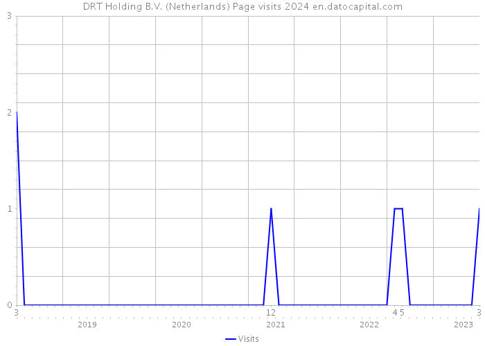 DRT Holding B.V. (Netherlands) Page visits 2024 