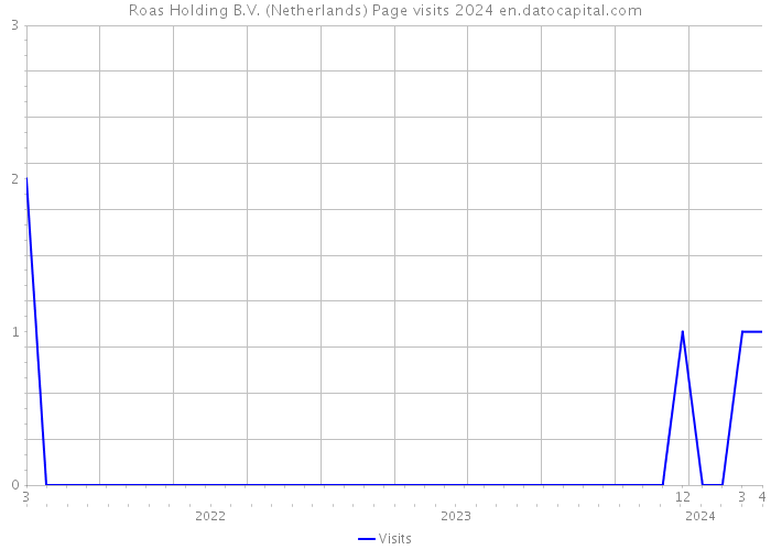Roas Holding B.V. (Netherlands) Page visits 2024 