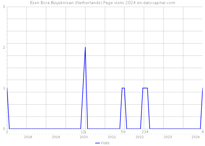 Esen Bora Büyüknisan (Netherlands) Page visits 2024 