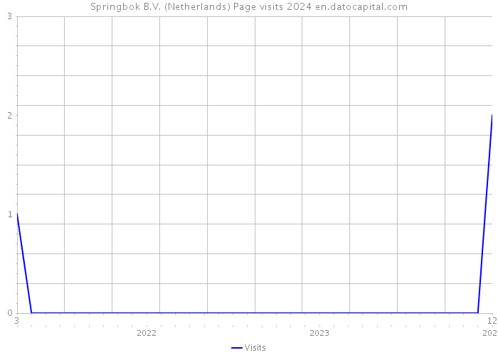 Springbok B.V. (Netherlands) Page visits 2024 