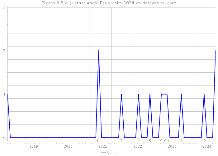Pixaroid B.V. (Netherlands) Page visits 2024 