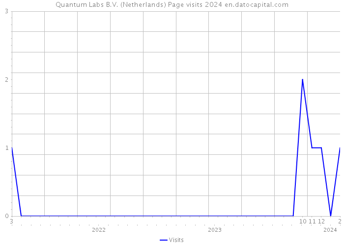 Quantum Labs B.V. (Netherlands) Page visits 2024 