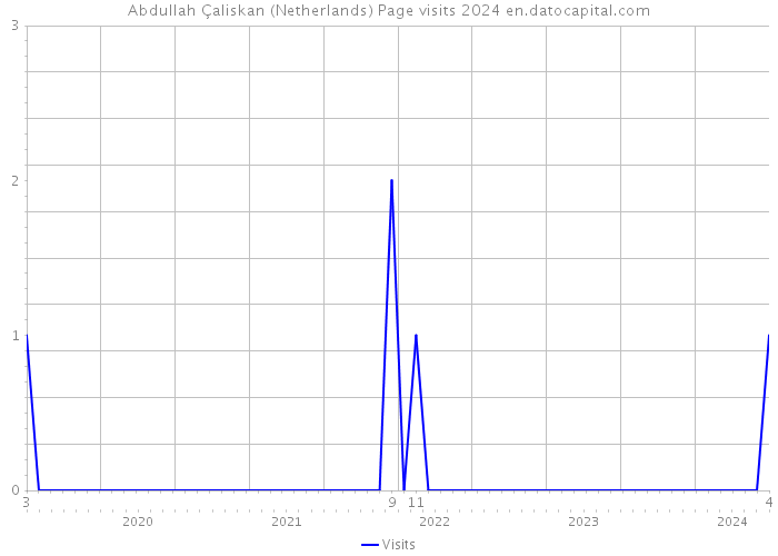 Abdullah Çaliskan (Netherlands) Page visits 2024 
