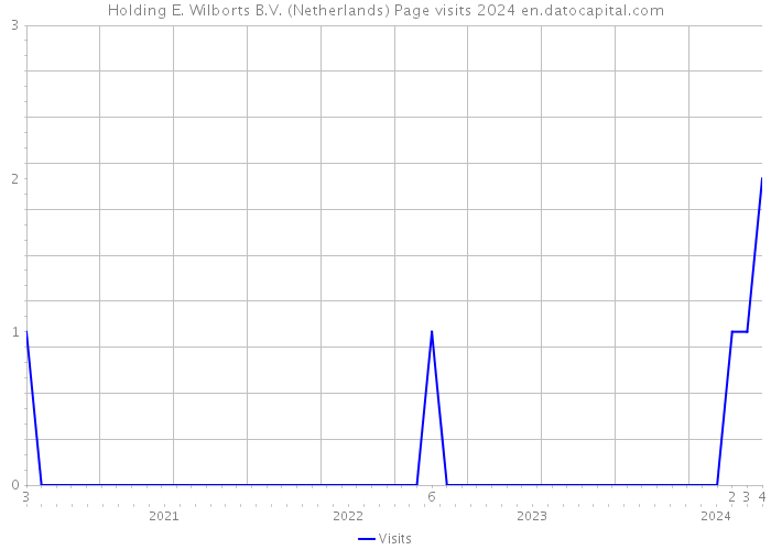 Holding E. Wilborts B.V. (Netherlands) Page visits 2024 