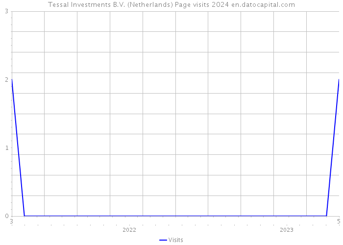 Tessal Investments B.V. (Netherlands) Page visits 2024 