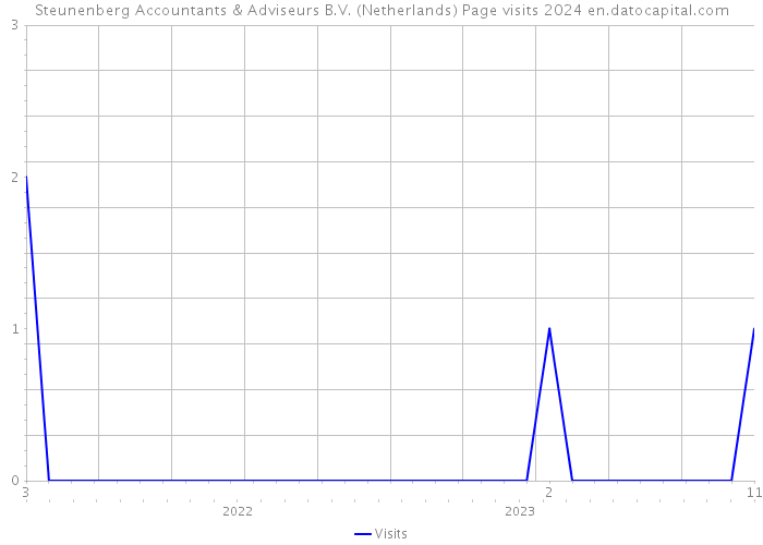 Steunenberg Accountants & Adviseurs B.V. (Netherlands) Page visits 2024 
