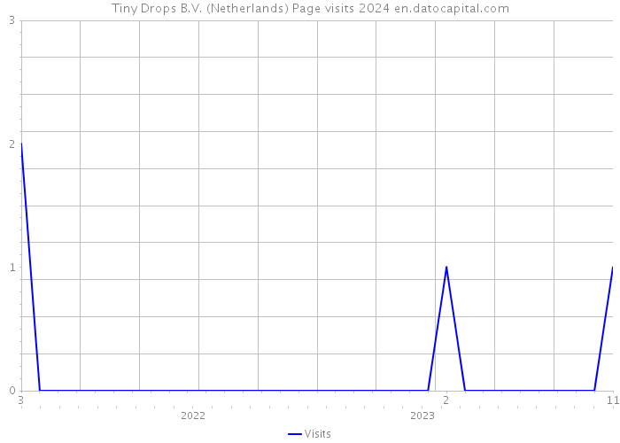 Tiny Drops B.V. (Netherlands) Page visits 2024 