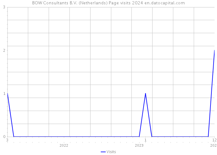 BOW Consultants B.V. (Netherlands) Page visits 2024 