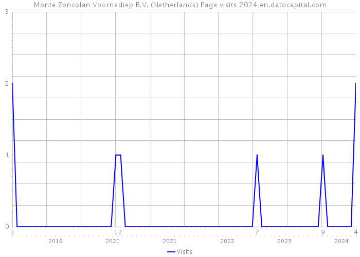 Monte Zoncolan Voornediep B.V. (Netherlands) Page visits 2024 
