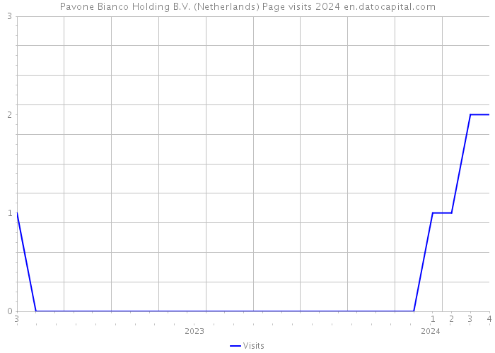 Pavone Bianco Holding B.V. (Netherlands) Page visits 2024 