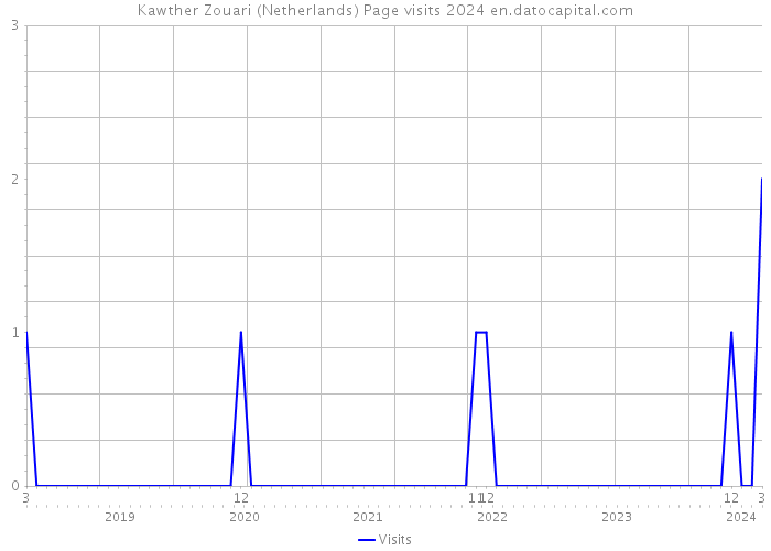 Kawther Zouari (Netherlands) Page visits 2024 