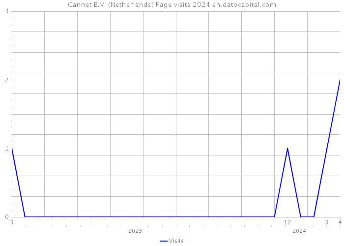 Gannet B.V. (Netherlands) Page visits 2024 