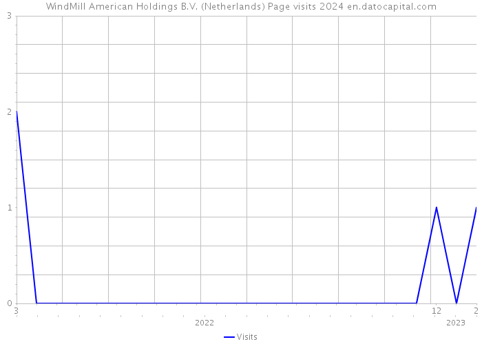 WindMill American Holdings B.V. (Netherlands) Page visits 2024 