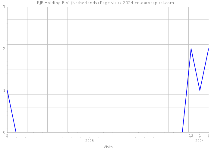 RJB Holding B.V. (Netherlands) Page visits 2024 