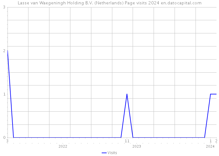 Lasse van Waegeningh Holding B.V. (Netherlands) Page visits 2024 