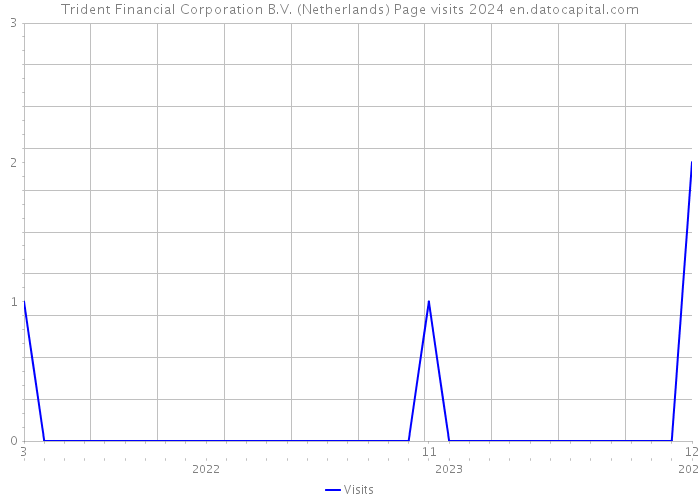 Trident Financial Corporation B.V. (Netherlands) Page visits 2024 