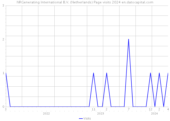 NRGenerating International B.V. (Netherlands) Page visits 2024 