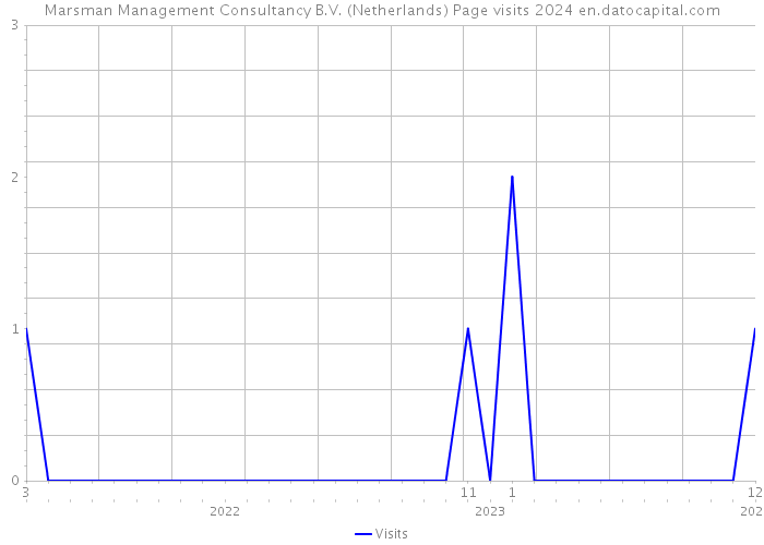 Marsman Management Consultancy B.V. (Netherlands) Page visits 2024 