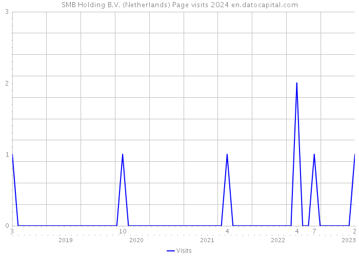 SMB Holding B.V. (Netherlands) Page visits 2024 