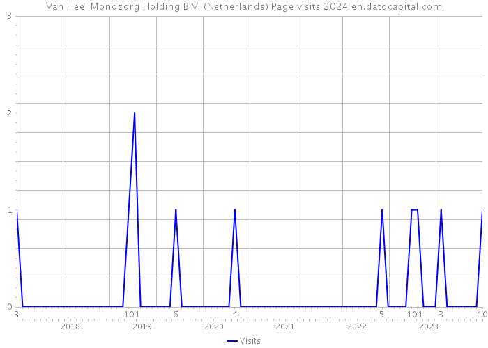 Van Heel Mondzorg Holding B.V. (Netherlands) Page visits 2024 