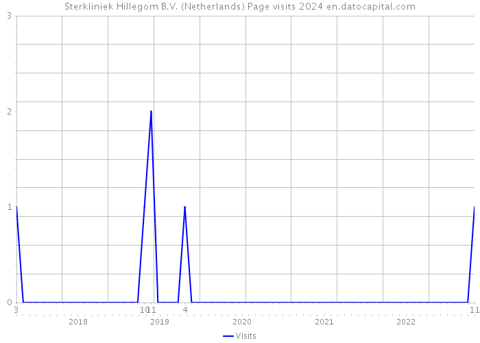 Sterkliniek Hillegom B.V. (Netherlands) Page visits 2024 