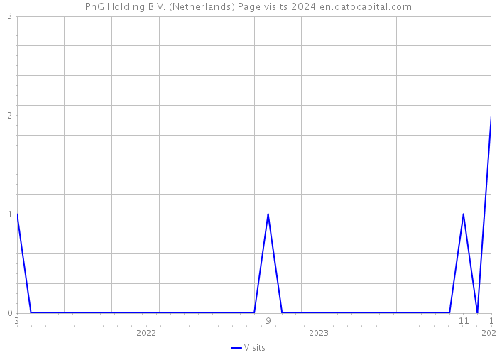 PnG Holding B.V. (Netherlands) Page visits 2024 
