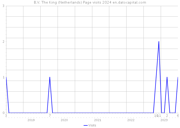 B.V. The King (Netherlands) Page visits 2024 