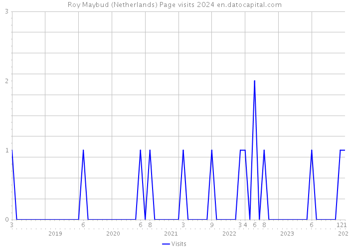 Roy Maybud (Netherlands) Page visits 2024 