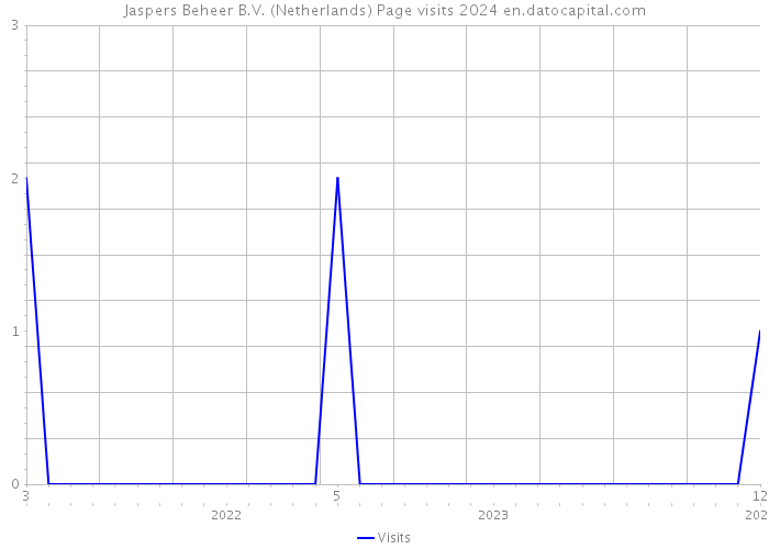 Jaspers Beheer B.V. (Netherlands) Page visits 2024 