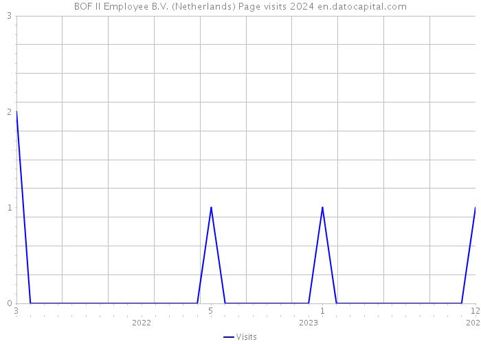 BOF II Employee B.V. (Netherlands) Page visits 2024 