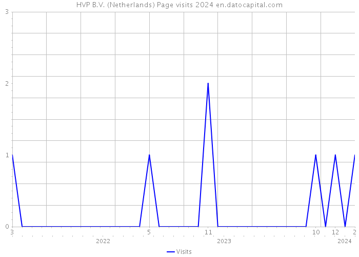 HVP B.V. (Netherlands) Page visits 2024 