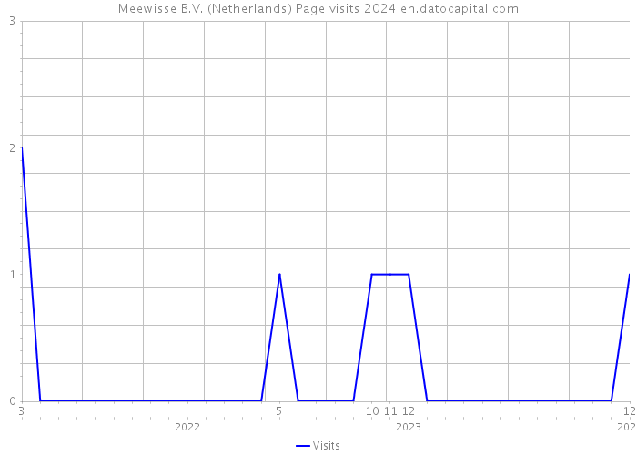 Meewisse B.V. (Netherlands) Page visits 2024 
